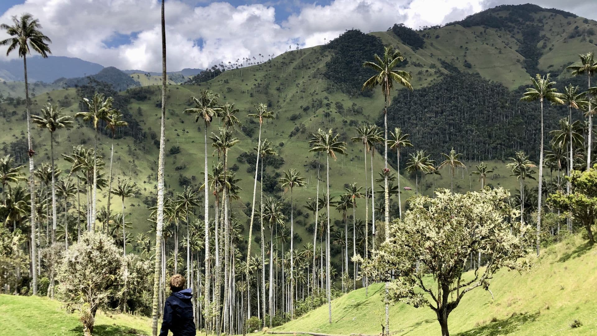 Backpacker on a long-term journey